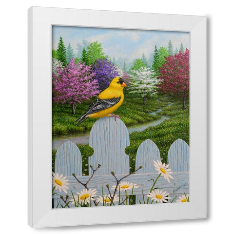 Goldfinch and Daisies White Modern Wood Framed Art Print by Wavra, Robert