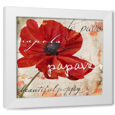 Le Pavot I White Modern Wood Framed Art Print by Sasha
