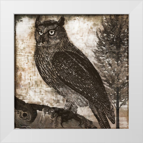 Owl 2 White Modern Wood Framed Art Print by Sasha