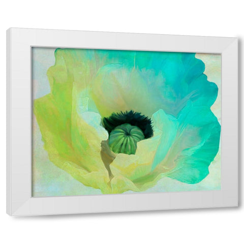 Poppy Gradient I White Modern Wood Framed Art Print by Sasha