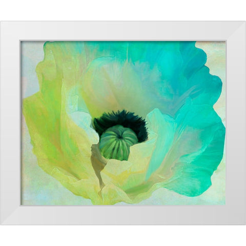 Poppy Gradient I White Modern Wood Framed Art Print by Sasha