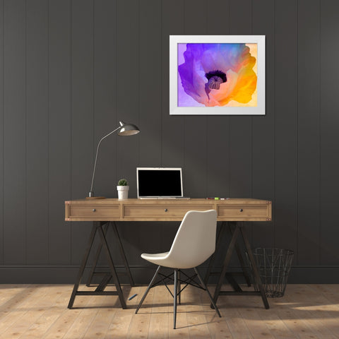 Poppy Gradient III White Modern Wood Framed Art Print by Sasha