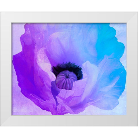 Poppy Gradient IV White Modern Wood Framed Art Print by Sasha