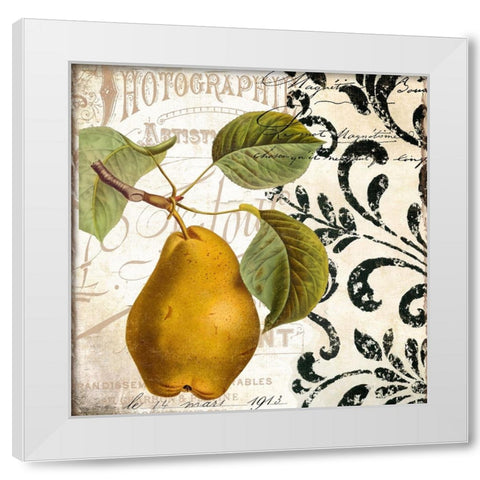 Les Fruits Jardin I White Modern Wood Framed Art Print by Sasha