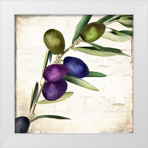 Olive Branch III White Modern Wood Framed Art Print by Sasha