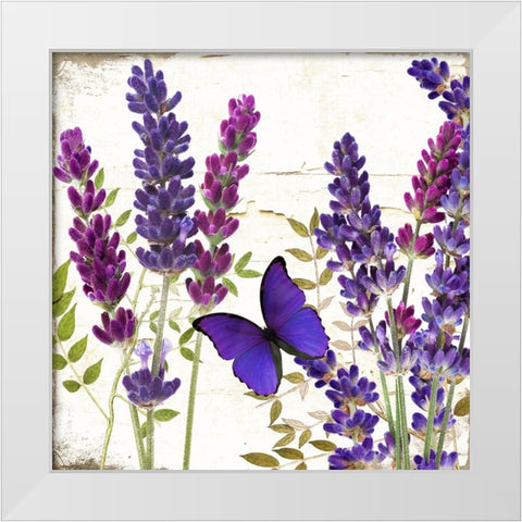 Lavande I White Modern Wood Framed Art Print by Sasha