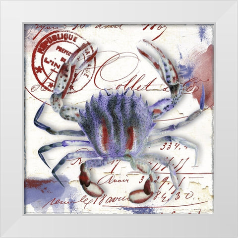 Oceania II White Modern Wood Framed Art Print by Sasha