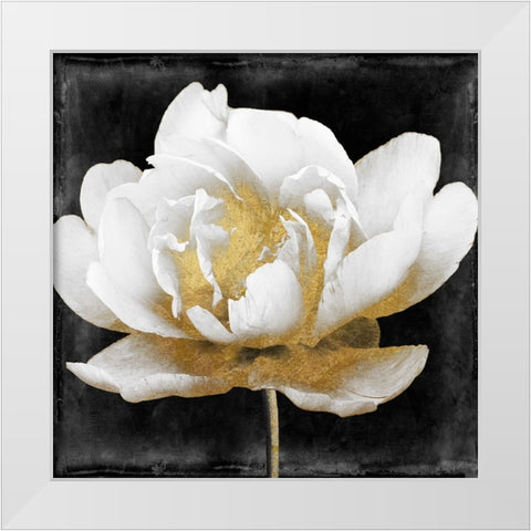 Gilda II White Modern Wood Framed Art Print by Sasha