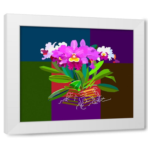 Cattleya Orchid White Modern Wood Framed Art Print by Pansanit, Surapol