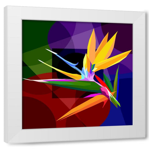 Bird Of Paradise 001 White Modern Wood Framed Art Print by Pansanit, Surapol