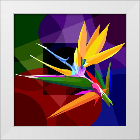 Bird Of Paradise 001 White Modern Wood Framed Art Print by Pansanit, Surapol