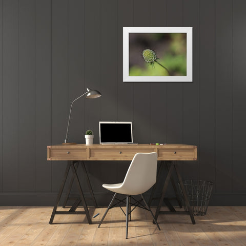 Mournful Widow White Modern Wood Framed Art Print by Bonin, Suzanne