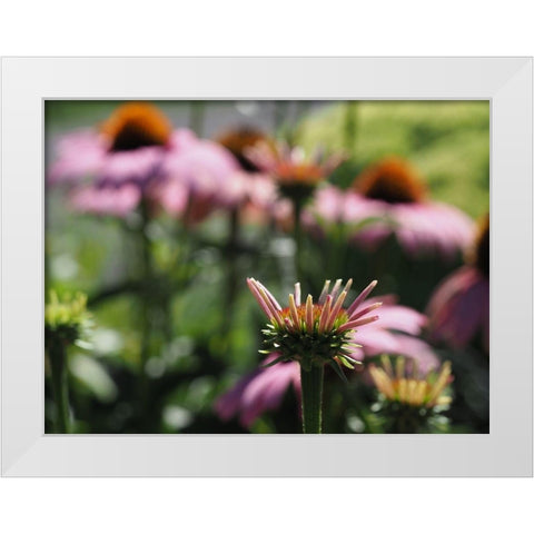 Spiky White Modern Wood Framed Art Print by Bonin, Suzanne