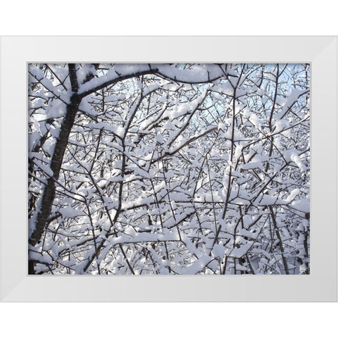Still Winter White Modern Wood Framed Art Print by Bonin, Suzanne