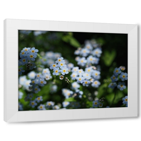 Beautiful Day White Modern Wood Framed Art Print by Bonin, Suzanne