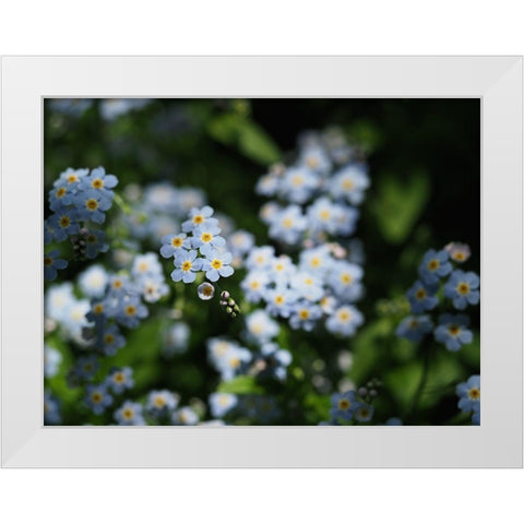 Beautiful Day White Modern Wood Framed Art Print by Bonin, Suzanne
