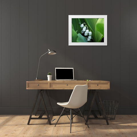 Clochettes White Modern Wood Framed Art Print by Bonin, Suzanne