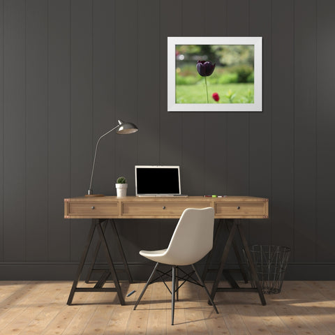 Dark Beauty White Modern Wood Framed Art Print by Bonin, Suzanne