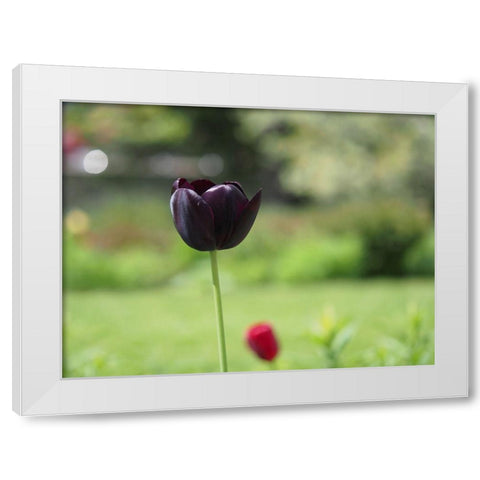 Dark Beauty White Modern Wood Framed Art Print by Bonin, Suzanne
