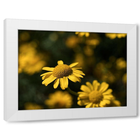Dreamy White Modern Wood Framed Art Print by Bonin, Suzanne