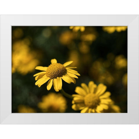 Dreamy White Modern Wood Framed Art Print by Bonin, Suzanne