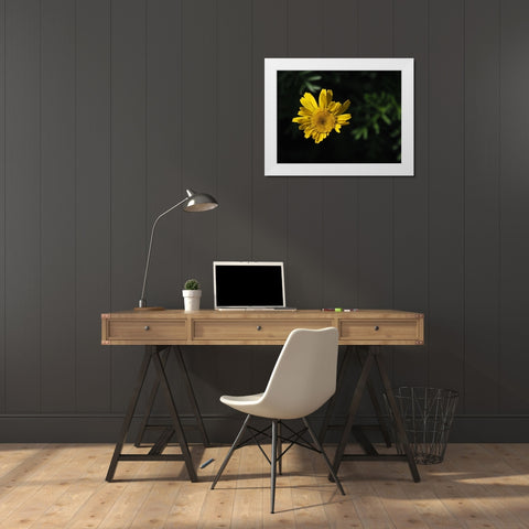 Early Riser White Modern Wood Framed Art Print by Bonin, Suzanne