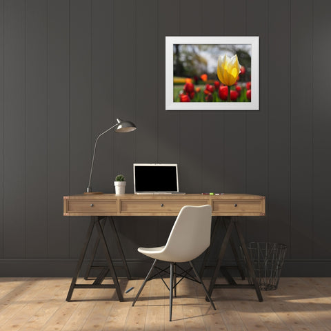 Elegant White Modern Wood Framed Art Print by Bonin, Suzanne
