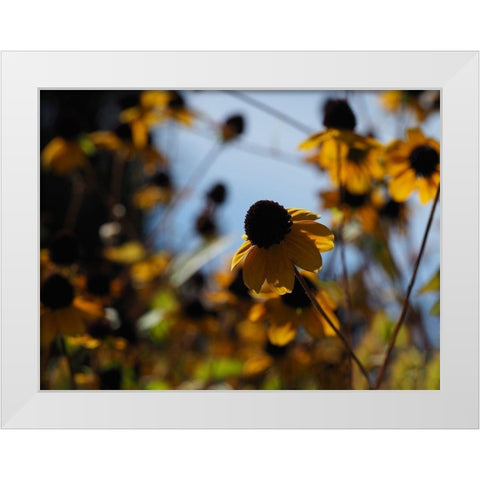 In Nature White Modern Wood Framed Art Print by Bonin, Suzanne