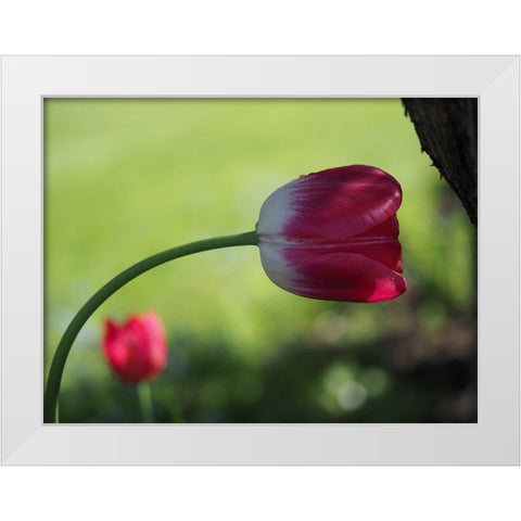 Leaning White Modern Wood Framed Art Print by Bonin, Suzanne