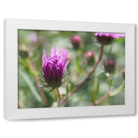 Nonchalant Beauty White Modern Wood Framed Art Print by Bonin, Suzanne