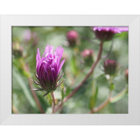 Nonchalant Beauty White Modern Wood Framed Art Print by Bonin, Suzanne