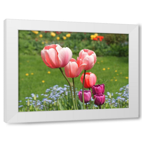 Nuances White Modern Wood Framed Art Print by Bonin, Suzanne