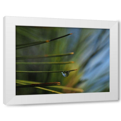 One Drop White Modern Wood Framed Art Print by Bonin, Suzanne