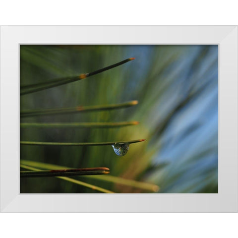 One Drop White Modern Wood Framed Art Print by Bonin, Suzanne