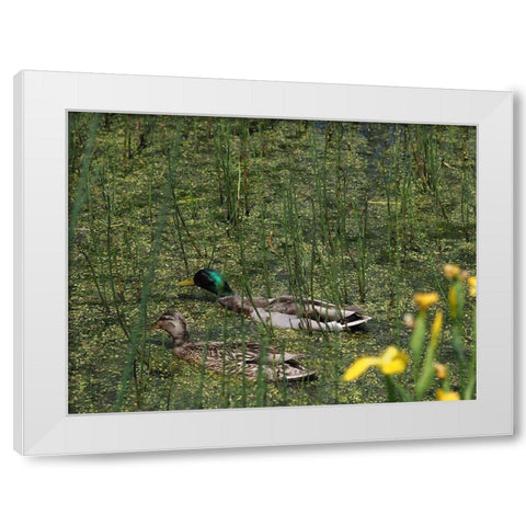 Sauve Qui Peut White Modern Wood Framed Art Print by Bonin, Suzanne