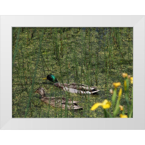 Sauve Qui Peut White Modern Wood Framed Art Print by Bonin, Suzanne