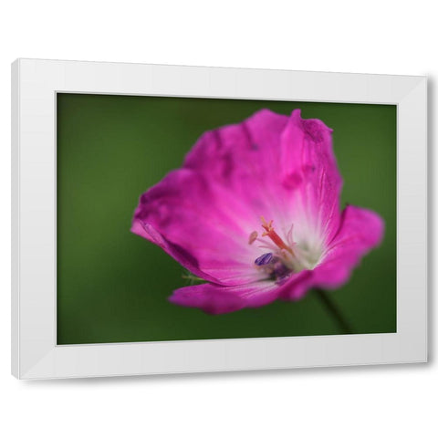 The Heart Of It White Modern Wood Framed Art Print by Bonin, Suzanne