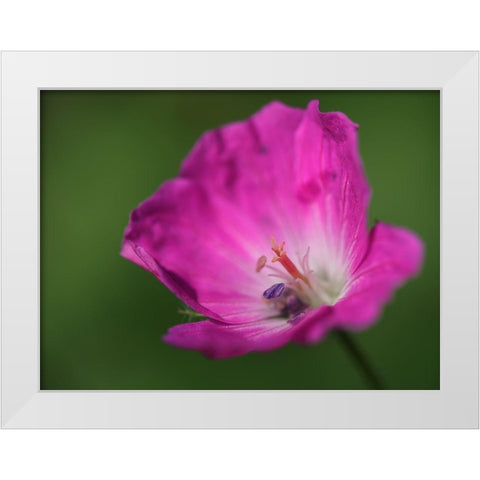 The Heart Of It White Modern Wood Framed Art Print by Bonin, Suzanne