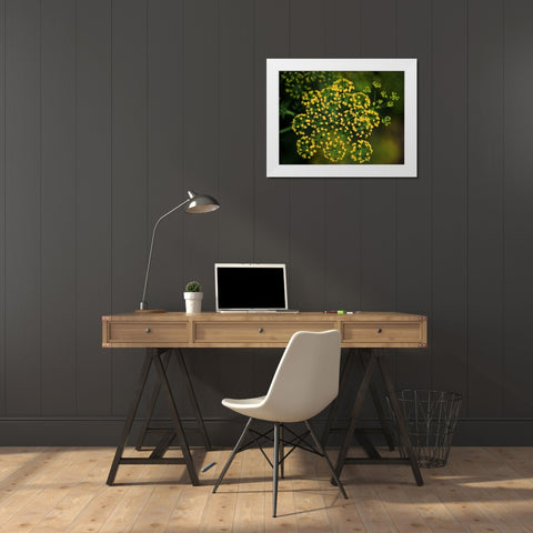 Tiny Beauties White Modern Wood Framed Art Print by Bonin, Suzanne