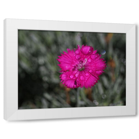 Wet Wild Earth White Modern Wood Framed Art Print by Bonin, Suzanne