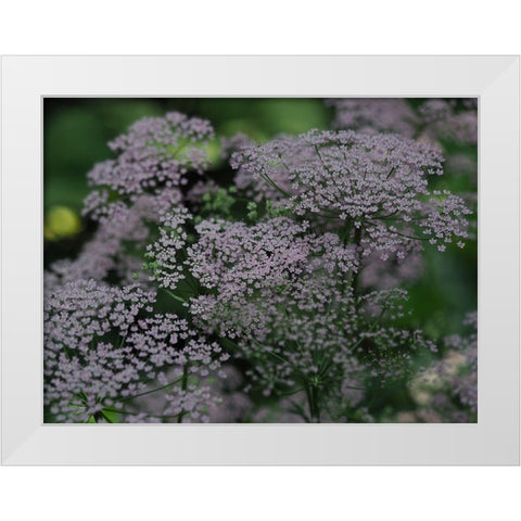 Wild Ones White Modern Wood Framed Art Print by Bonin, Suzanne