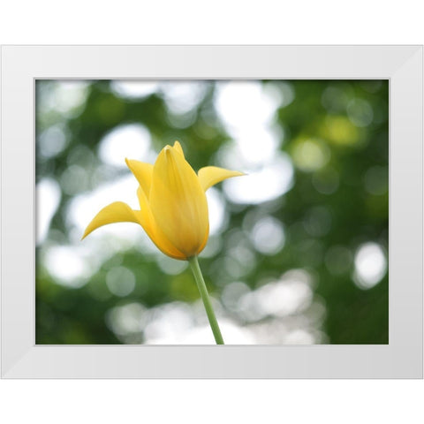 Lady In Yellow White Modern Wood Framed Art Print by Bonin, Suzanne