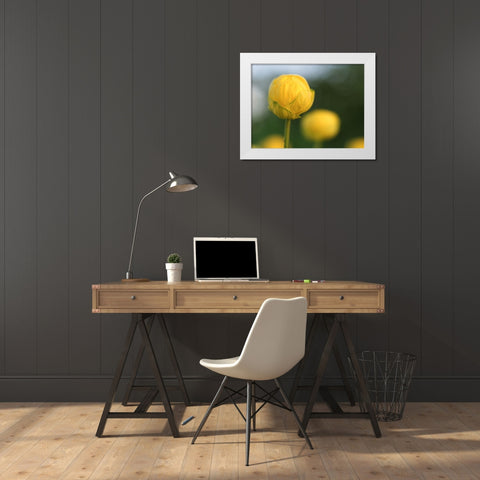 Lollipop White Modern Wood Framed Art Print by Bonin, Suzanne