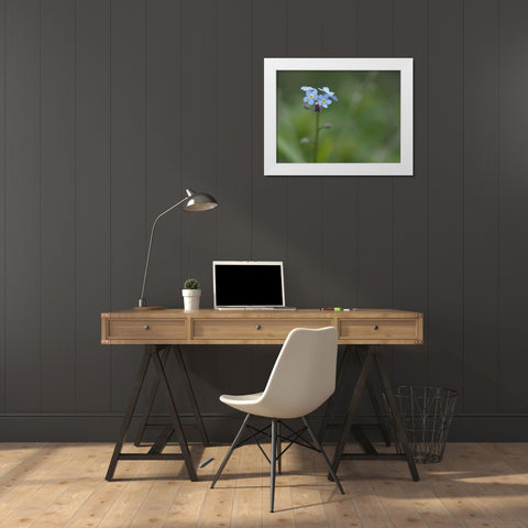 Never Forget White Modern Wood Framed Art Print by Bonin, Suzanne
