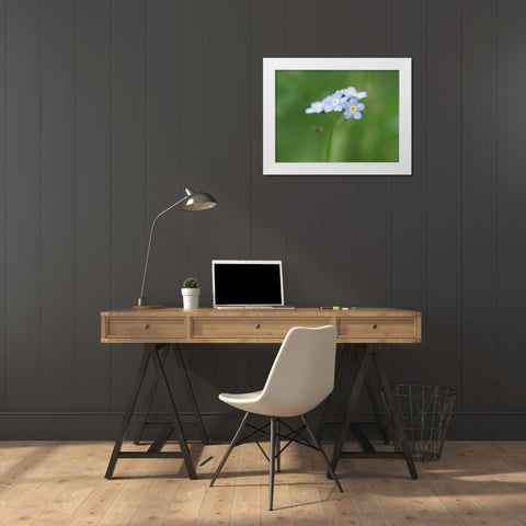 Small World White Modern Wood Framed Art Print by Bonin, Suzanne