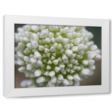 Another World White Modern Wood Framed Art Print by Bonin, Suzanne