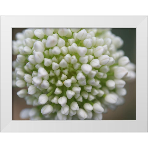 Another World White Modern Wood Framed Art Print by Bonin, Suzanne