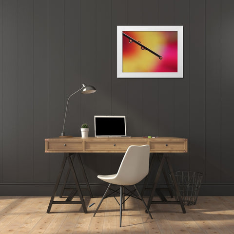 Experiment White Modern Wood Framed Art Print by Bonin, Suzanne