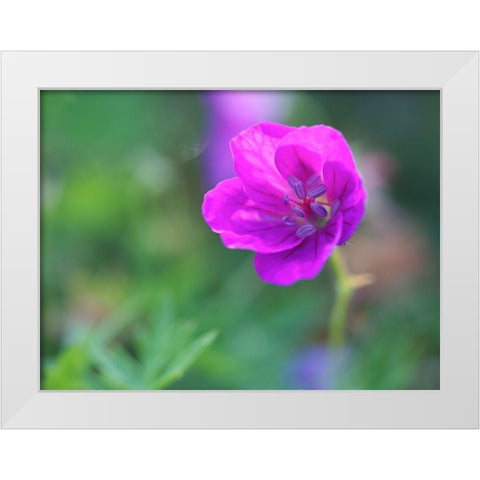 Little Bead White Modern Wood Framed Art Print by Bonin, Suzanne