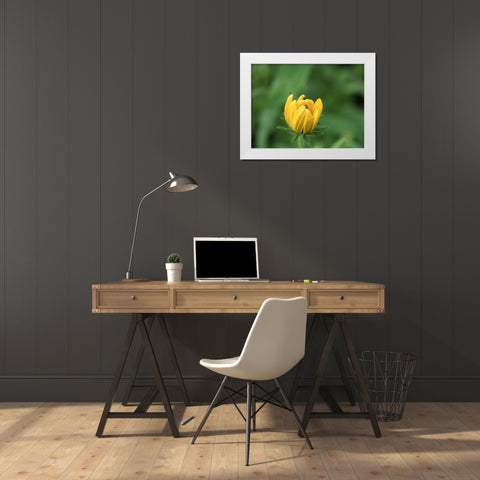 See Me White Modern Wood Framed Art Print by Bonin, Suzanne